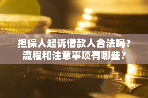 北京担保人起诉借款人合法吗？流程和注意事项有哪些？