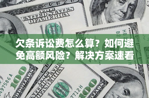 北京欠条诉讼费怎么算？如何避免高额风险？解决方案速看！