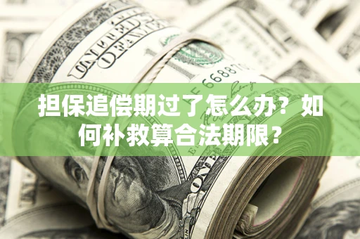 北京担保追偿期过了怎么办？如何补救算合法期限？