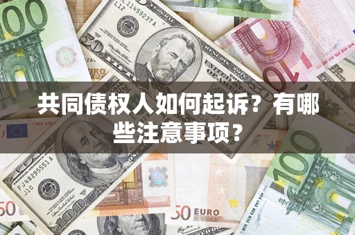 北京共同债权人如何起诉？有哪些注意事项？